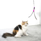 주문 대량 지팡이 놀리는 사람 실내에게 고양이 놀기를 위한 상호 작용하는 고양이 장난감 협력 업체