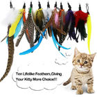 철회 가능한 고양이 장난감, 1마리의 폴란드 7 부착 벌레 새 깃털을 가진 고양이 깃털 지팡이 장난감 협력 업체