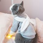 주문을 받아서 만들어진 본 고양이 착용 스웨터, 디자이너 고양이는 크기 XS - XXL를 입습니다 협력 업체