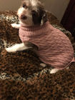 애완 동물 옷에 의하여 주문을 받아서 만들어진 크기에게 가을/겨울을 위한 귀여운 개 옷을 모양 짓 협력 업체