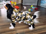 사려깊은 강아지 작은 개 비옷, 연약한 Breathable 방수 개 재킷 협력 업체