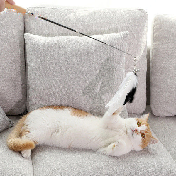 가동 가능한 고양이 지팡이 장난감, 깃털을 가진 다색 철회 가능한 고양이 장난감 지팡이 협력 업체