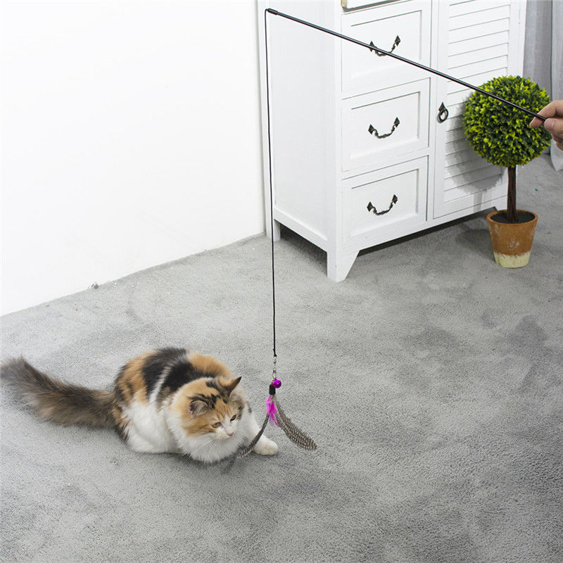 주문 대량 지팡이 놀리는 사람 실내에게 고양이 놀기를 위한 상호 작용하는 고양이 장난감 협력 업체