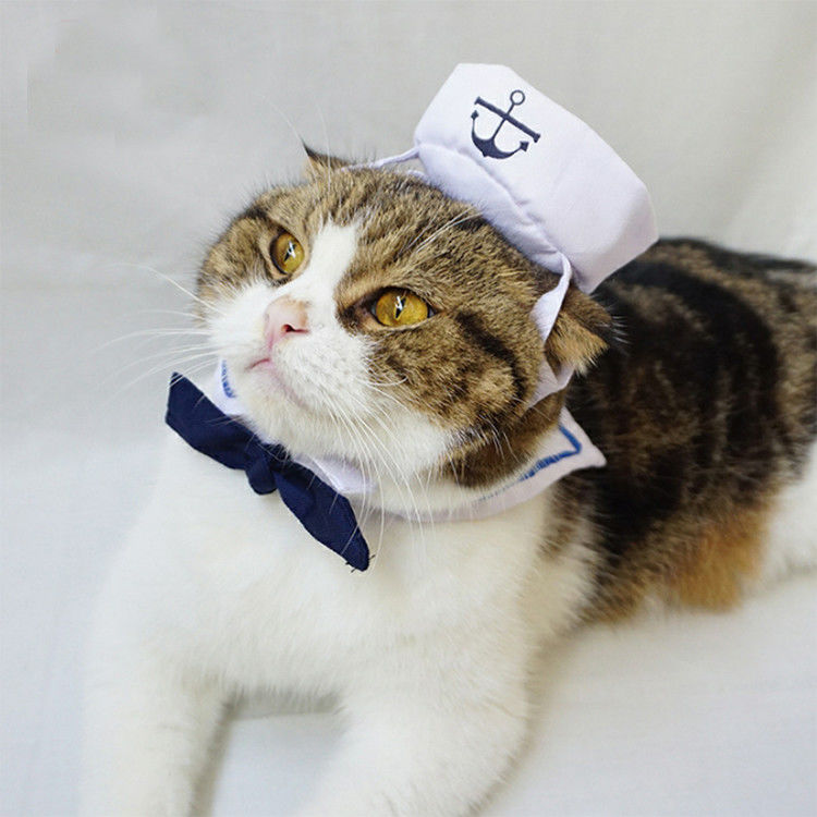 옷 사랑스러운 유행을 착용해 해군 고정되는 고양이 유효한 어떤 로고 협력 업체