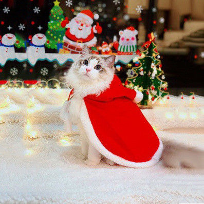 크리스마스 작풍 호화스러운 고양이는 선물/기념품을 위한 빨간 외투 무게 0.15kg를 입습니다 협력 업체