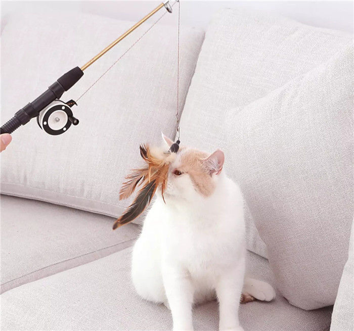 애완 동물 고양이 놀이를 위한 철회 가능한 깃털 놀리는 사람 고양이 장난감 소성 물질 협력 업체