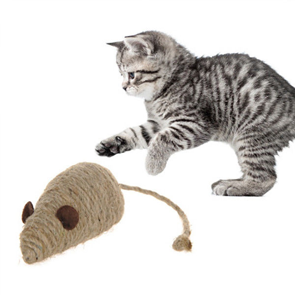주문을 받아서 만들어진 크기 상호 작용하는 쥐 고양이 장난감 사이살 삼 물자 빨 수 있는 내구재 협력 업체