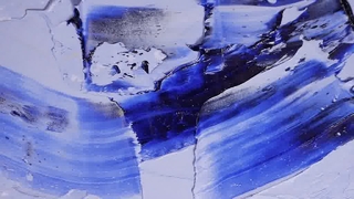 귀여운 꽃 애완 동물 목걸이 사용자 정의 로고